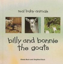 Billy and Bonnie the Goats (Real Baby Animals)