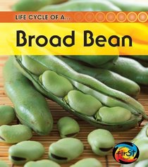 Bean (2nd Edition) (Heinemann First Library)
