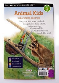 Bendon Reading Discovery Level 1 - Animal Kids Cubs, Chicks,and Pups (K to Grade 1)