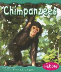 Chimpanzees (Rain Forest Animals)