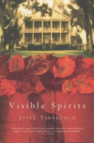 Visible Spirits (Vintage Contemporaries)