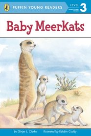 Baby Meerkats (Puffin Young Readers. L3)(Chinese Edition)