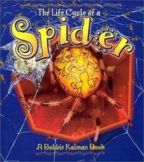 The Life Cycle of a Spider (The Life Cycle)