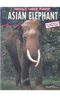 Asian Elephant (Animals Under Threat)