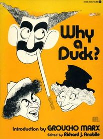 Why a Duck?