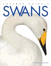 Amazing Animals: Swans