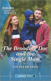 The Brooding Doc and the Single Mom (Greenbeck Village GPs, Bk 1) (Harlequin Medical, No 1323) (Larger Print)