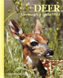 Deer Growing Up in the Wild (Books for Young Explorers)
