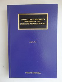 The Intellectual Property Enterprise Court: Practice and Procedure