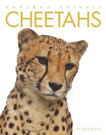 Cheetahs (Amazing Animals (Creative Education Hardcover))