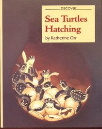 Sea Turtles Hatching