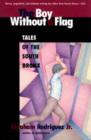 Boy Without a Flag: Tales of the South Bronx