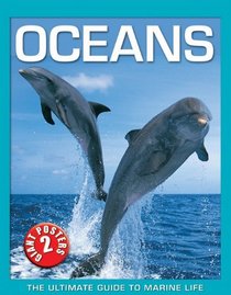 Oceans (Ultimate Guide)