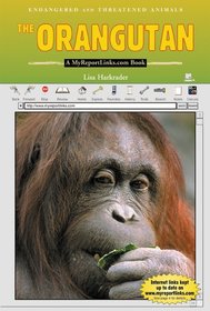 The Orangutan: A Myreportlinks.com Book (Endangered and Threatened Animals)