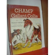 Champ: Gallant Collie