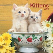 Kittens 2008 Mini Wall Calendar