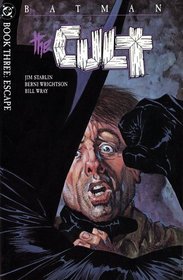 Batman: The Cult - book three