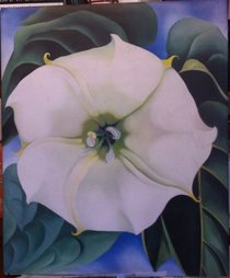 One Hundred Flowers by Georgia O'Keeffe