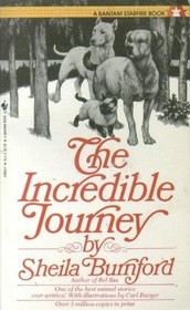 The Incredible Journey