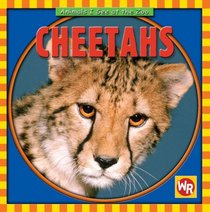 Cheetahs (Animals I See at the Zoo)