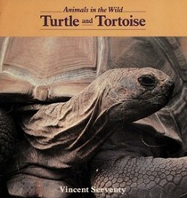 Turtle and Tortoise