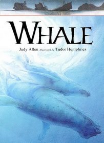 Whale (Animals at Risk)