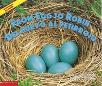 From Egg to Robin / Del Huevo Al Petirrojo - Bilingual Book