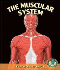 The Muscular System (Early Bird Body Systems)
