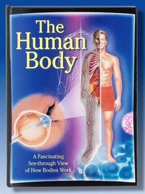 The Human Body: A Fascinating See-Through  View of How Bodies Work