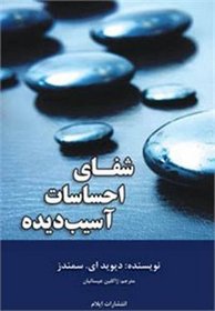 Healing for Damaged Emotions: Recovering from Memories That Cause Our Pain (Persian Edition)