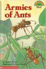 Armies of Ants (Hello Reader! (DO NOT USE, please choose level and binding))