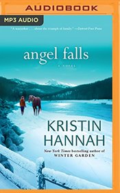 Angel Falls: A Novel