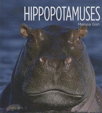 Hippopotamuses (Living Wild)