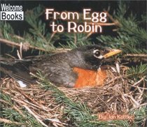 From Egg to Robin (Welcome Books)