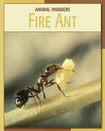 Fire Ant (Animal Invaders)