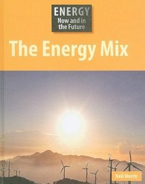The Energy Mix (Energy Now and in the Future)