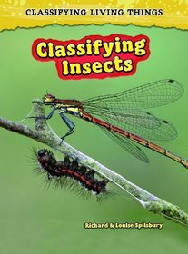 Classifying Insects