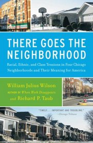 There Goes the Neighborhood: Racial, Ethnic, and Class Tensions in Four Chicago Neighborhoods and Their Meaning for America (Vintage)