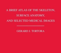 A Brief Atlas of the Skeleton, Surface Anatomy, and Selected Medical Images