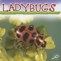 Ladybugs (Insects Discovery Library)
