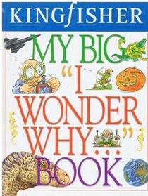 My Big I Wonder Why... Book