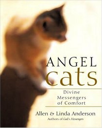 Angel Cats : Divine Messengers of Comfort