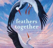 Feathers Together: A Picture Book (Feeling Friends)