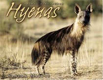 Hyenas (Animal Scavengers)
