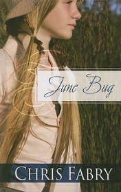 June Bug (Thorndike Press Large Print Christian Fiction)