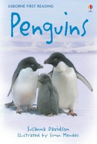 Penguins (First Reading)