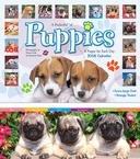 A Pocketful of Puppies 2008 Pocket Wall Calendar