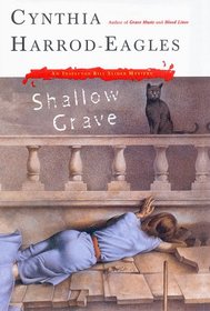 Shallow Grave (Bill Slider, Bk 7) (Large Print)