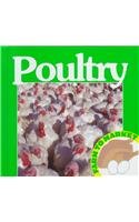 Poultry (Farm to Market)