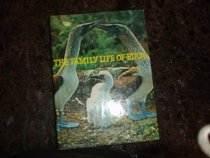 The family life of birds